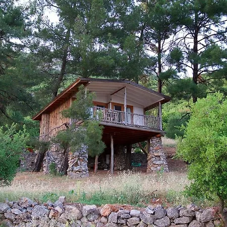 Yenice Vadi Dogal Yasam Koyu Hotell